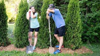 Adding some privacy to the backyard. We BOUGHT AND PLANTED 6 Emerald Green Arborvitaes