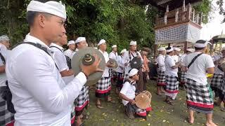 Beleganjur Bebarongan Lawas Penestanan Kelod  Sekha Gong Gita Penastan  #bebarongan