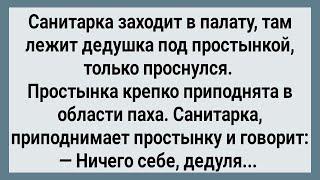 Как Санитарка Дедушке Под Простынку Залезла Сборник Свежих Анекдотов Юмор