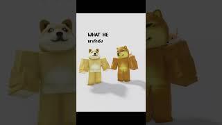 Roblox animations  schizophrenia.