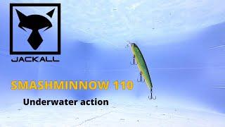 Jackall Smash Minnow 110 underwater action bait footage