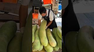 The Longest Fruit in The World - Winter Melon Cutting Skills in Taiwan