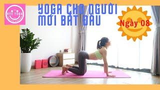 Yoga Cho Người Mới Bắt Đầu  Ngày 08