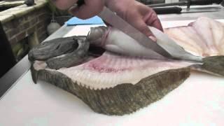 Passionate About Fish - How to Fillet a Wild Turbot