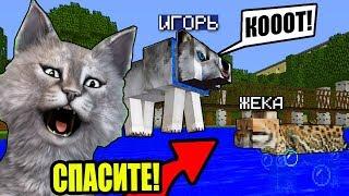 ПЁС СПАС КОТА ОТ СМЕРТИ В МАЙНКРАФТ И... ЖИЗНЬ ЖИВОТНЫХ В MINECRAFT