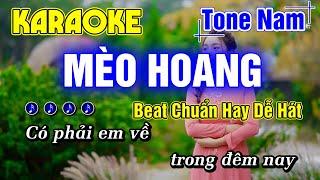 Mèo Hoang Karaoke Tone Nam Nhạc Sống Beat Chuẩn Mai Tiến Đạt Hay Dễ Hát - Minh Đức Karaoke