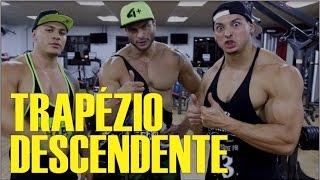 TRAPÉZIO DESCENDENTE VOLTOU vídeo original