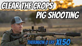 Clear the Crops  Feral Pig & Fox Shooting  308Win Rifle & Thermion 2 LRF XL50  Wedgetail Hawk