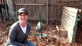 Breeding Rabbits on the Homestead