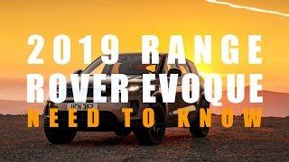 Range Rover Evoque 2019 We need to talk  A Tribe Called Cars