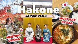 Japan Travel Vlog  Meeting Geisha beautiful Japanese gardens & great food - Last day in Hakone