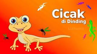 Lagu Anak anak  CICAK CICAK DI DINDING  Cicak di dinding kartun  lagu cicak cicak di dinding