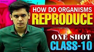 How Do Organisms Reproduce Complete ChapterClass 10th Science NCERT covered Prashant Kirad