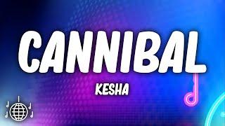 Kesha - Cannibal Lyrics