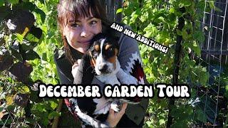 December Garden Tour  Abundant Fall and Winter Garden