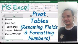 Pivot Table  Renaming Fields and Formatting Numbers  in MS Excel Spreadsheet