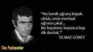 Yılmaz Güney Sözleri...