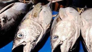 live 17 Juli 24 ◆◆ Pemotongan Tuna Segar di Pasar Ikan Jembatan Puri Kota SorongPapua Indonesia