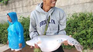 Rekor ikan Belida Setu Rawa Kalong 37 kg panjang 80cm