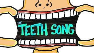 The Teeth Song Learn in 3 minutes  SCIENCE SONGS