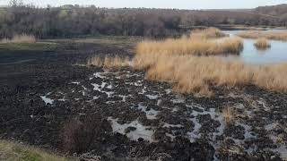 Ставок Pond