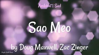 Sao Meo • Doug Maxwell  Zac Zinger • Ambient  Sad Music 1 Hour Version