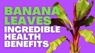 BANANA LEAVES INCREDIBLE HEALTH BENEFITS