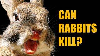 The Truth about Killer Rabbits