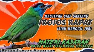 JROJOS RAPAT Manggil Juri MASTERAN Tembakan Kasar Untuk Masteran MURAI BATU CUCAK IJO KACER