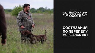 Состязания легавых собак по перепелу. Моршанск - 2021. Тамбовская область.