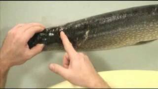 Carving Your Own Fish Mannikin Preview Video