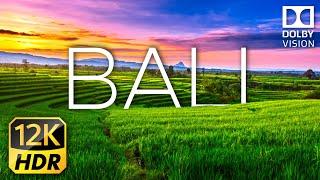 Bali 12K HDR 240fps Dolby Vision - Paradise of Asia