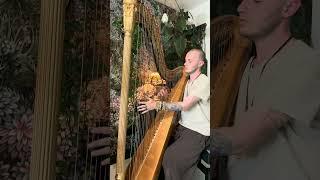 A Rare Treasure - Peaceful Reflections - Meditation Music - 203 Year Old Pedal Harp #shorts