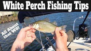 White Perch Fishing Tips & Techniques How To Catch White Perch In A River Spring Spawn