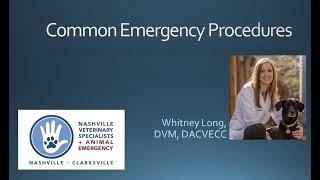 Common Emergency Procedures in Veterinary Medicine