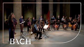 Bach - The Art of Fugue BWV 1080 - Sato  Netherlands Bach Society