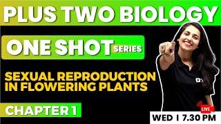 PLUS TWO BIOLOGY  One Shot Series  Sexual Reproduction in Flowering Plants  EXAM WINNER