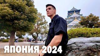 ХИЖИНА МУЗЫКАНТА - ДОРОГА Клип из Японии 2024