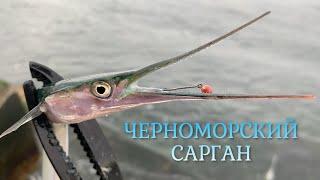 Ловили САРГАНА а влетела трофейная СТАВРИДА. Морская рыбалка на БОМБАРДУ.