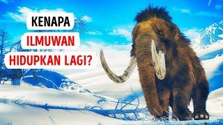 Tak Lama Lagi Mungkin Mamut Akan Berkeliaran di Muka Bumi