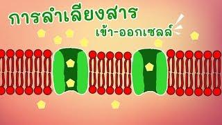 การลำเลียงสาร เข้าออกเซลล์ membrane transport