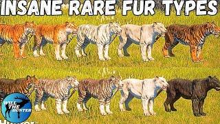 Tigers Are Going Fun To Hunt Only 16 Tigers On The Map + Insane Looking Rares  TheHunter COTW