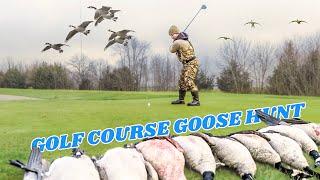 Goose Hunting a GOLF COURSE in Iowa Multiple Bands