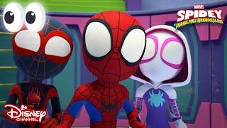 Karakterlerle Tanışalım  Marvel Spidey ve İnanılmaz Arkadaşları  Disney Channel TR
