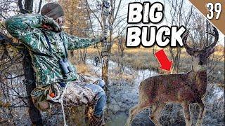 ARKANSAS SWAMP BUCKS Bow Hunting Public Land