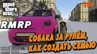 GTA 5 RMRP СОБАКА ЗА РУЛЁМ  КАК СОЗДАТЬ СЕМЬЮ 18+