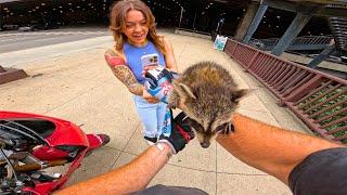 Riding With My RACCOON In DOWNTOWN Chicago
