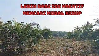 Lebih dari sekedar IDE KREATIF - Mencari Modal Hidup meski harus RALLY  &  Bekerja sambil Belajar.