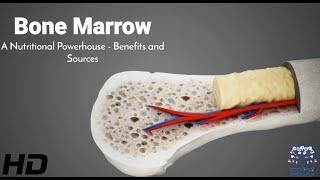 Marrow Magic Exploring the Surprising Benefits and Rich Sources of Bone Marrow