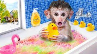 Süßes Affenbaby Bi Bon badet in der Regenbogenbadewanne und isst Früchte  Lustige Tiere Heimvideos